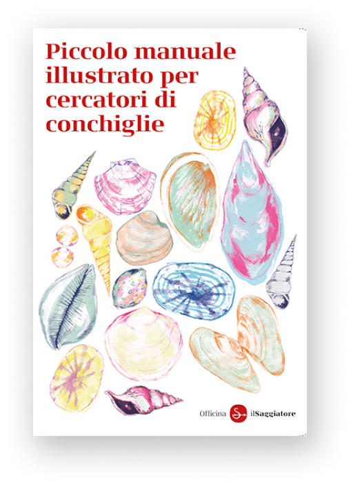 Piccolo manuale illustrato per cercatori di conchiglie copertina